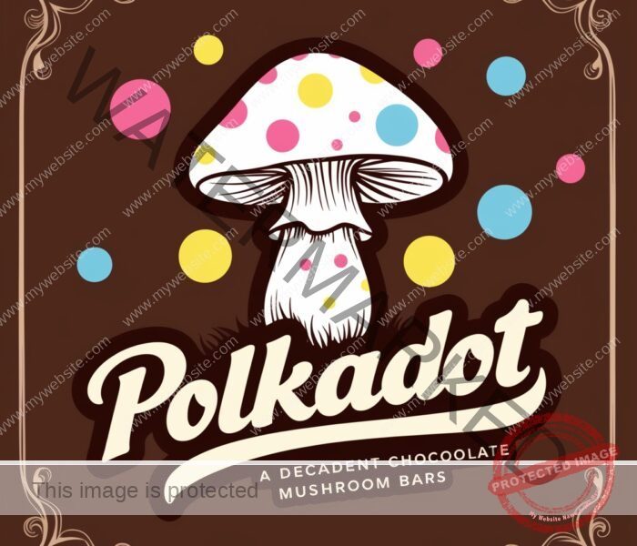 https://polkadotoriginal.com/