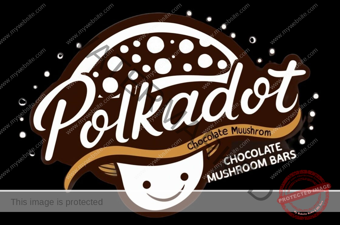 https://polkadotoriginal.com/